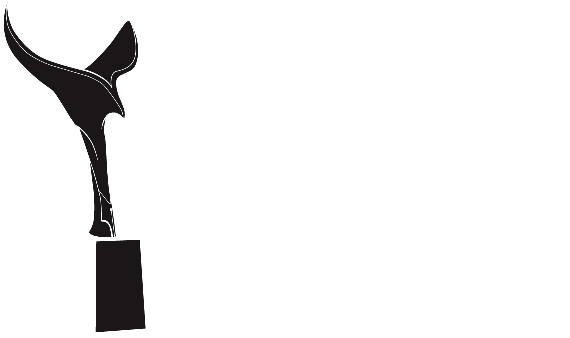 2024 Writers Guild Awards